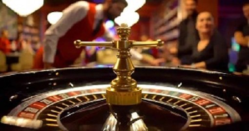 zee5 Live Casino